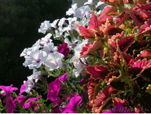 DSCN4157.JPG
