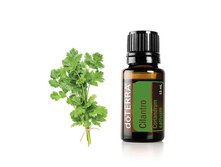 ����� Cilantro Essential Oil