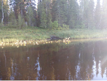 IMG 20150818 181919.jpg