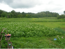 11.07.2015 P7110090.JPG