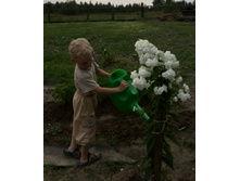 IMG 20150809 213013.jpg