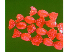 �������� ���� ��� ���� 1�� -286 ���.jpg