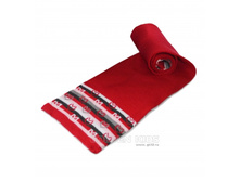 Aricha sharf gvozdika.jpg