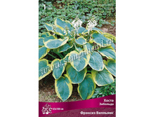 ����� ������� ��������.jpg