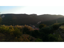 IMAG0091 BURST002 COVER[1].jpg