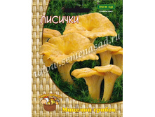 ������� (60��.).jpg