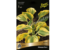 ����� ������ ����.jpg