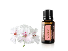 ������ Geranium Essential Oil