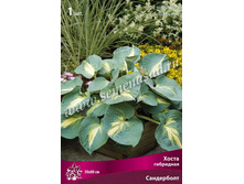 ����� ����������.jpg