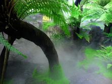 Jungle-1368319.jpg