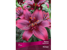 ����� ������.jpg