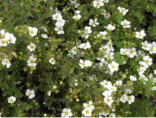 �������� ������������� ���������.130