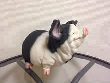 ������ ���������� ��������� 112014.jpg