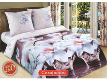 ��� �������� 1,5 �������� ��������.jpg