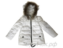 �.8817 ����� GXF ����� 2100 ���.