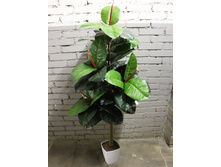 160/��/186 - 4410