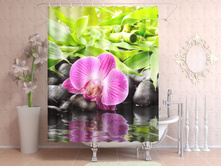 ������������ �������.jpg