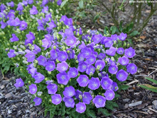 ����������� ����������.90