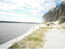 ������ �����, �������.