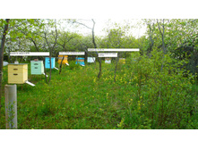 ������ �� 16.05.15.JPG