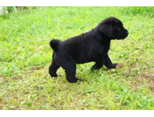 ������� №2