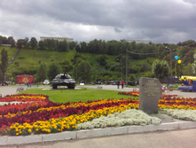 IMG 20150815 135818.jpg