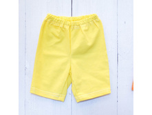 ����������� ���.213