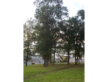 ������� ����� 012.jpg