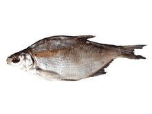 ��� ���������