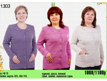 1000/ 1100 ���.