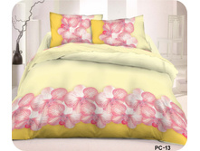 ��� PC-13 (����������).jpg