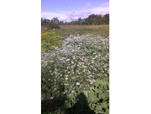 ������ 2015�.