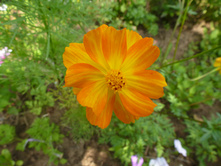 P1040186.JPG ������