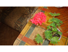 Carolin Dean( �������)