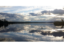 Z20150806 054044.jpg