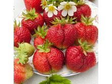 �������� ��������� ��������� ���� 61 ���.jpg