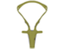 �����  First steps