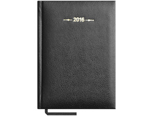 ���������� ������������ 2016�., �6, 176�., ��������, Derby, ������ 116,4.jpg