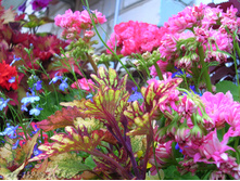 DSCN4267.JPG