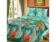 4516-1 Kolibri zelenyj s kompanonom.jpg