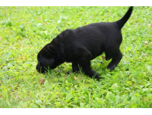 ������� №3