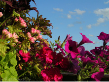 DSCN4214.JPG