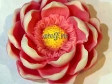 �������� - 210 ���.