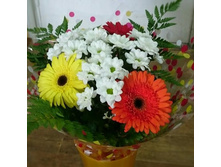 ����� N1 600 ���