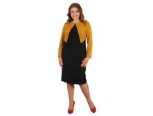 �����. 1950���.