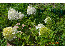 ����� �������. ������� � ���