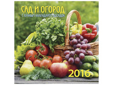 ��������� ������. �������. �� ������� 6 �.- ���-������ � ������ ������. �������, 28,5-28,5��, 2016�. 36,5.jpg