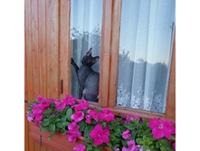 ����������� 015.jpg