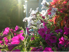 DSCN3959.JPG