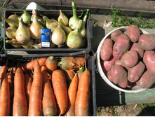 ������ 2015�.